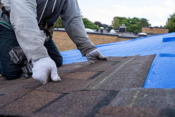 Best Commercial Roofing Services  in Campbellsville, KY