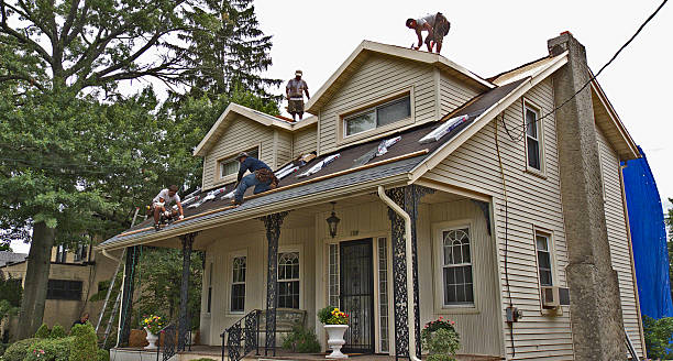 Best Residential Roofing Contractor  in Campbellsville, KY